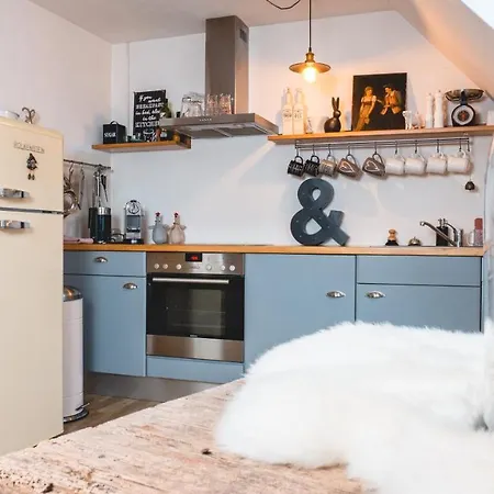 דירה Dachwohnung Mit Ofen Und Freisitz אולינגן בירקנדורף